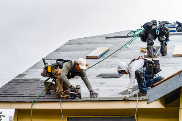 Professional Gutter Installation technician working in Alexandria, VA